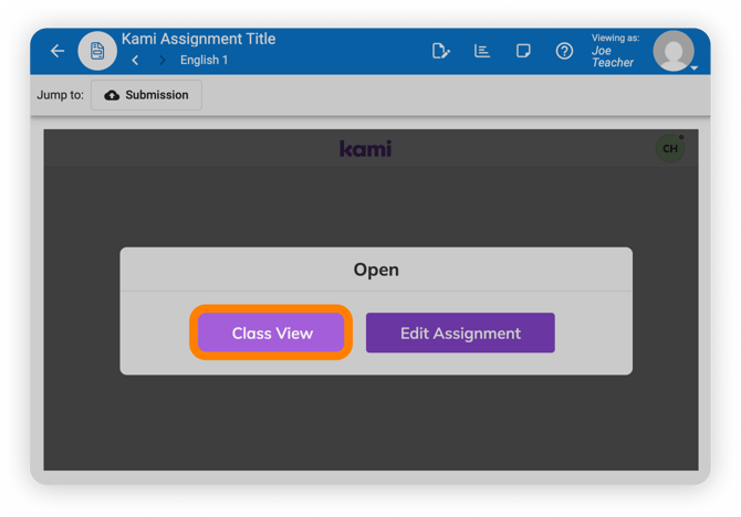 Class View button in Kami view