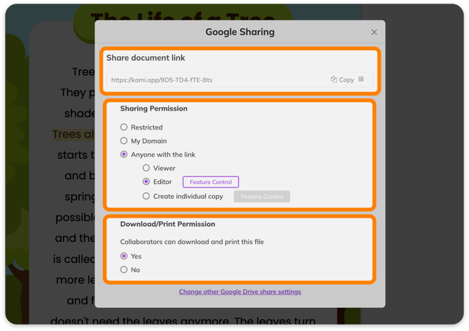Google Drive sharing options