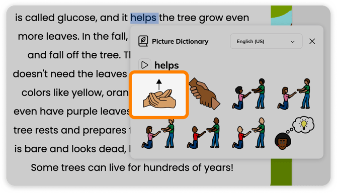ASL in the Picture Dictionary