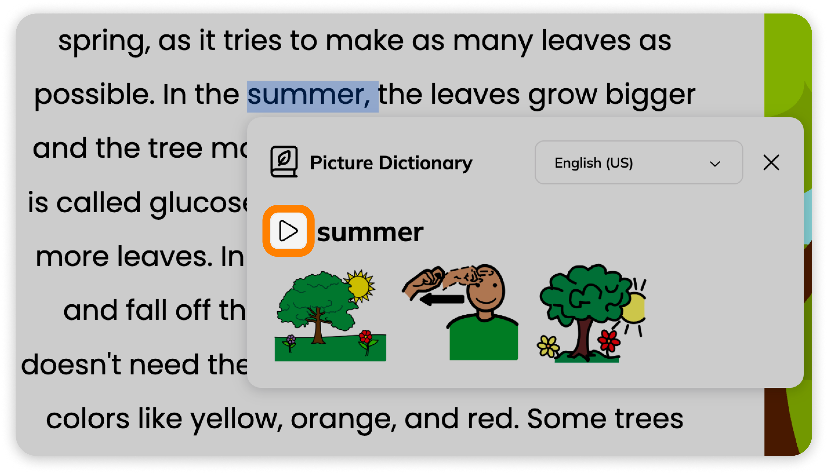 Read Aloud play button in Picture Dictionary modal