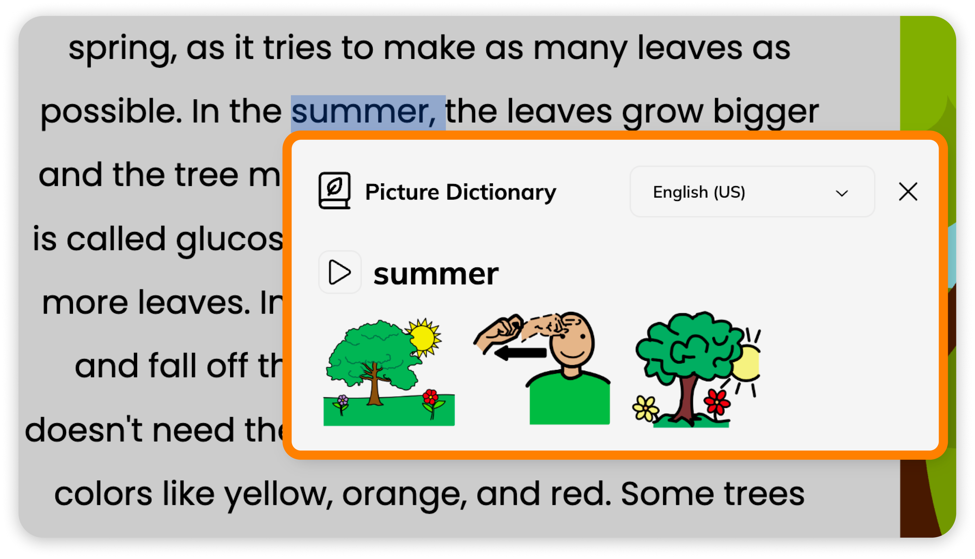Picture Dictional modal