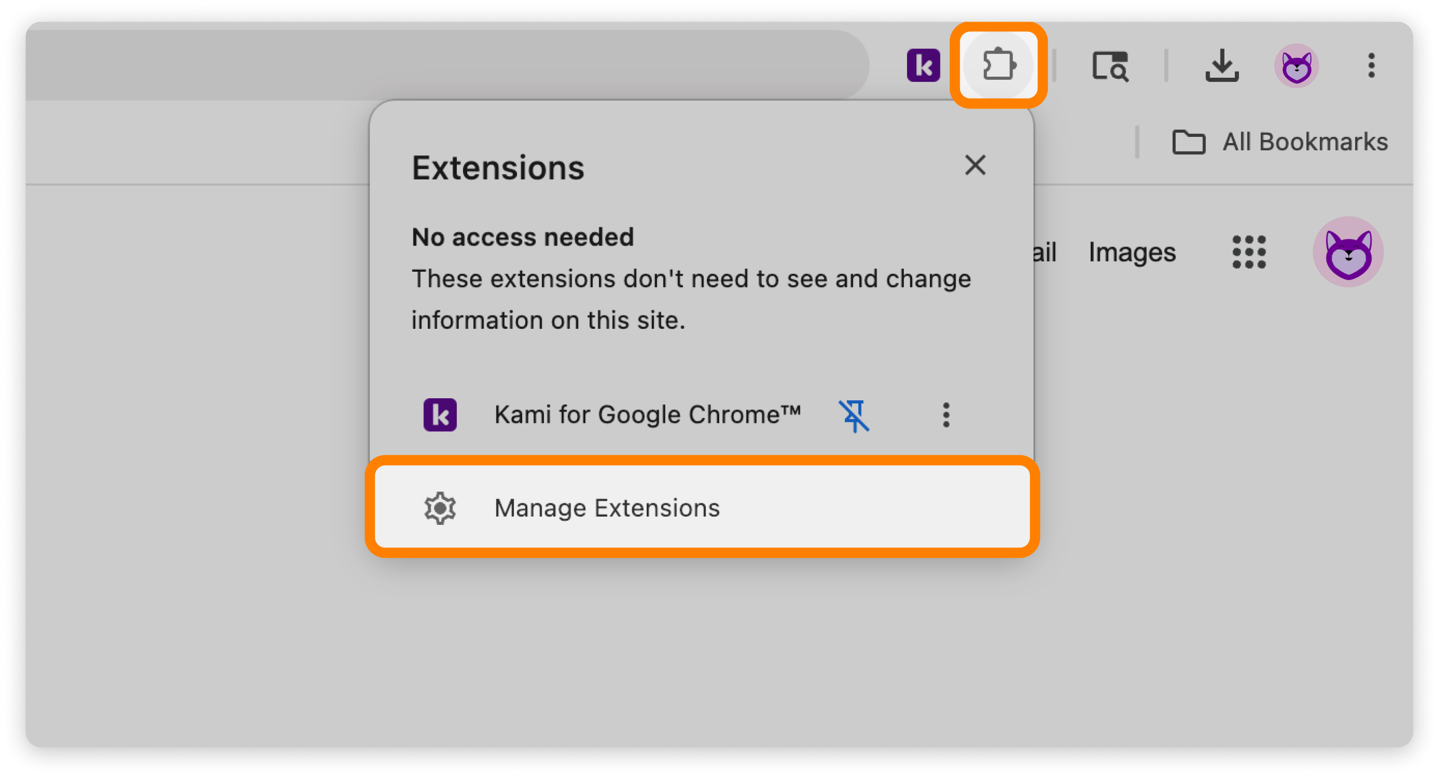 Manage Extensions