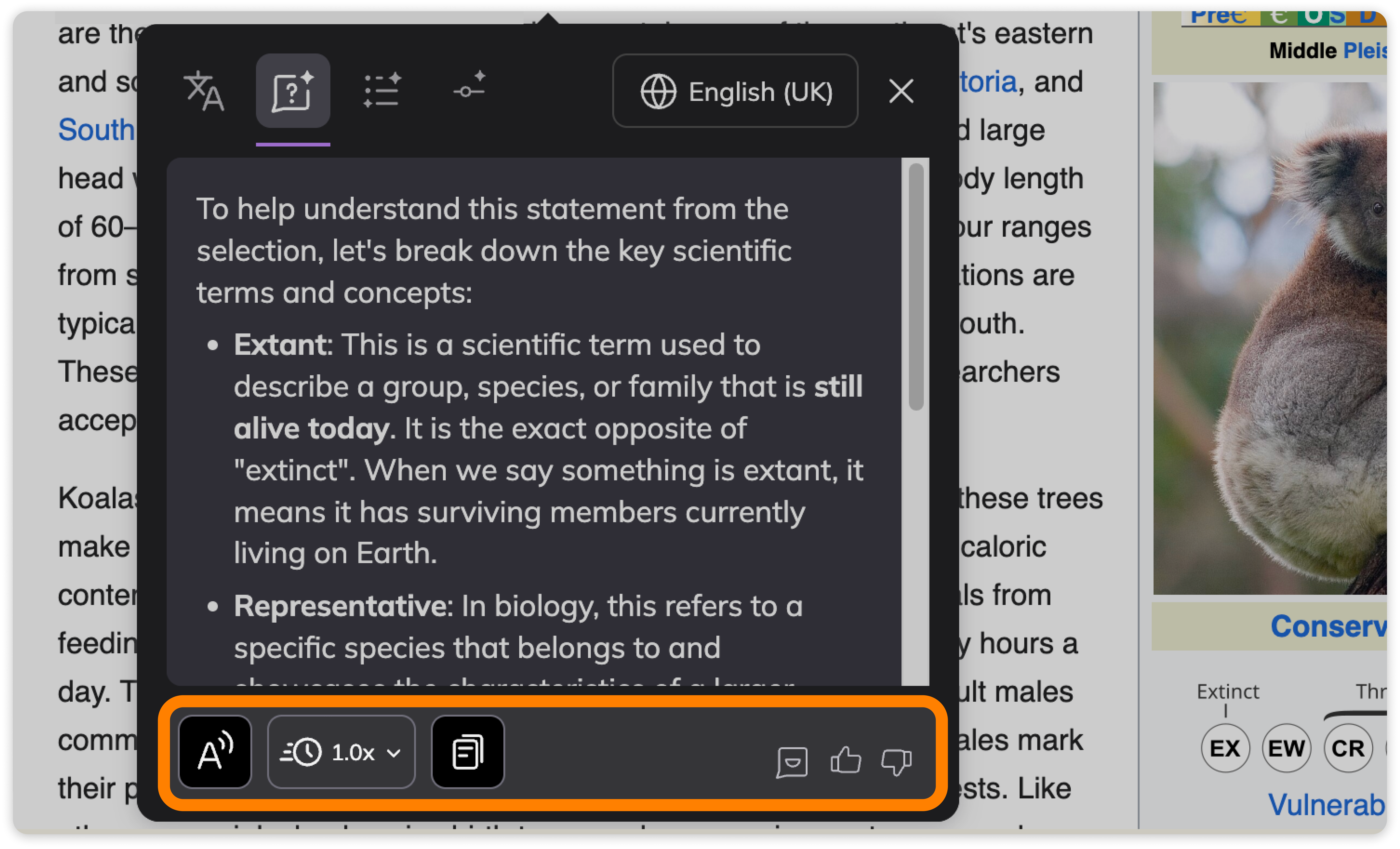 Other Explain tool options