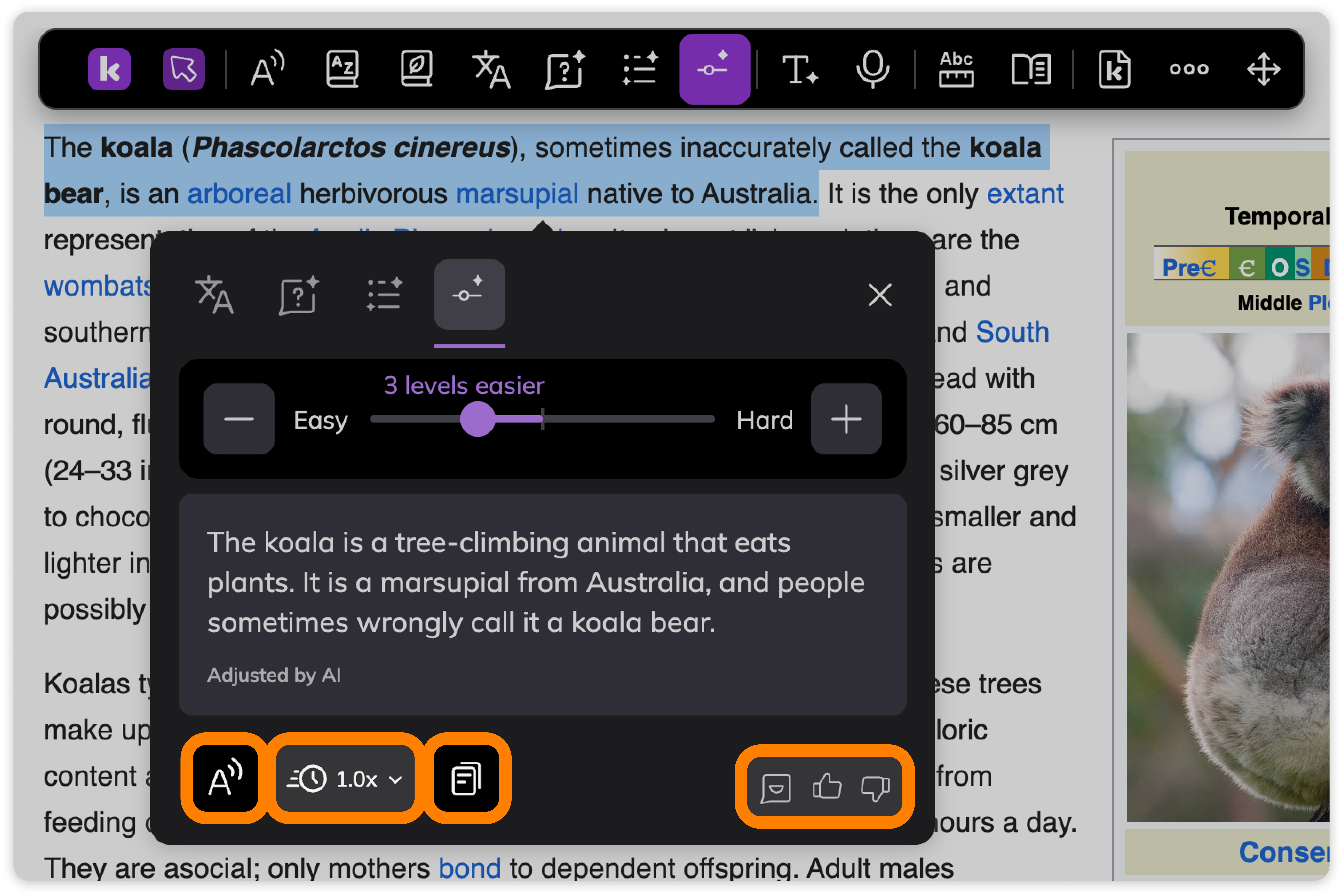 Other Adjust tool options