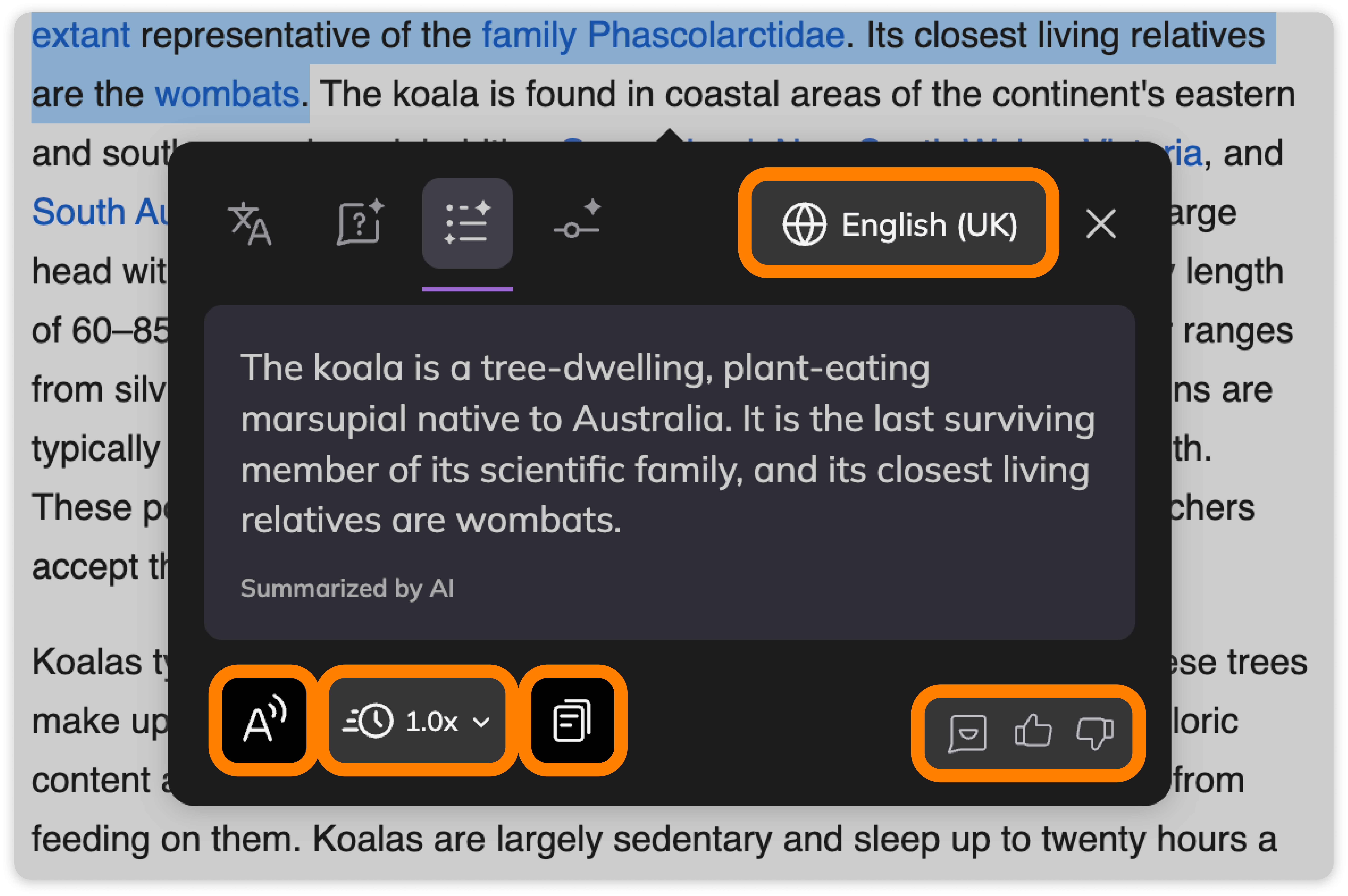Summarize modal options
