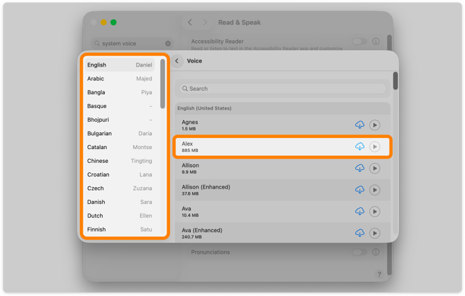 System voice settings