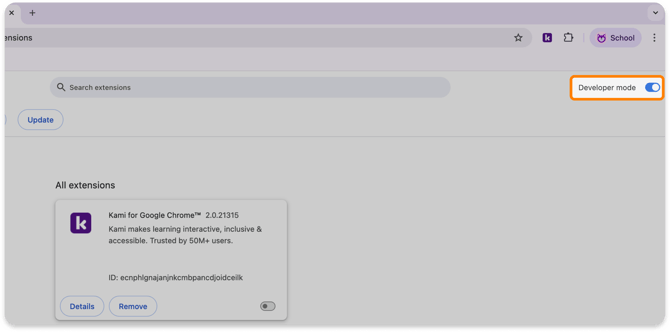Developer mode toggle