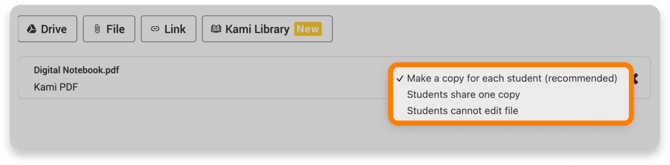 Student copy options for Kami assignment