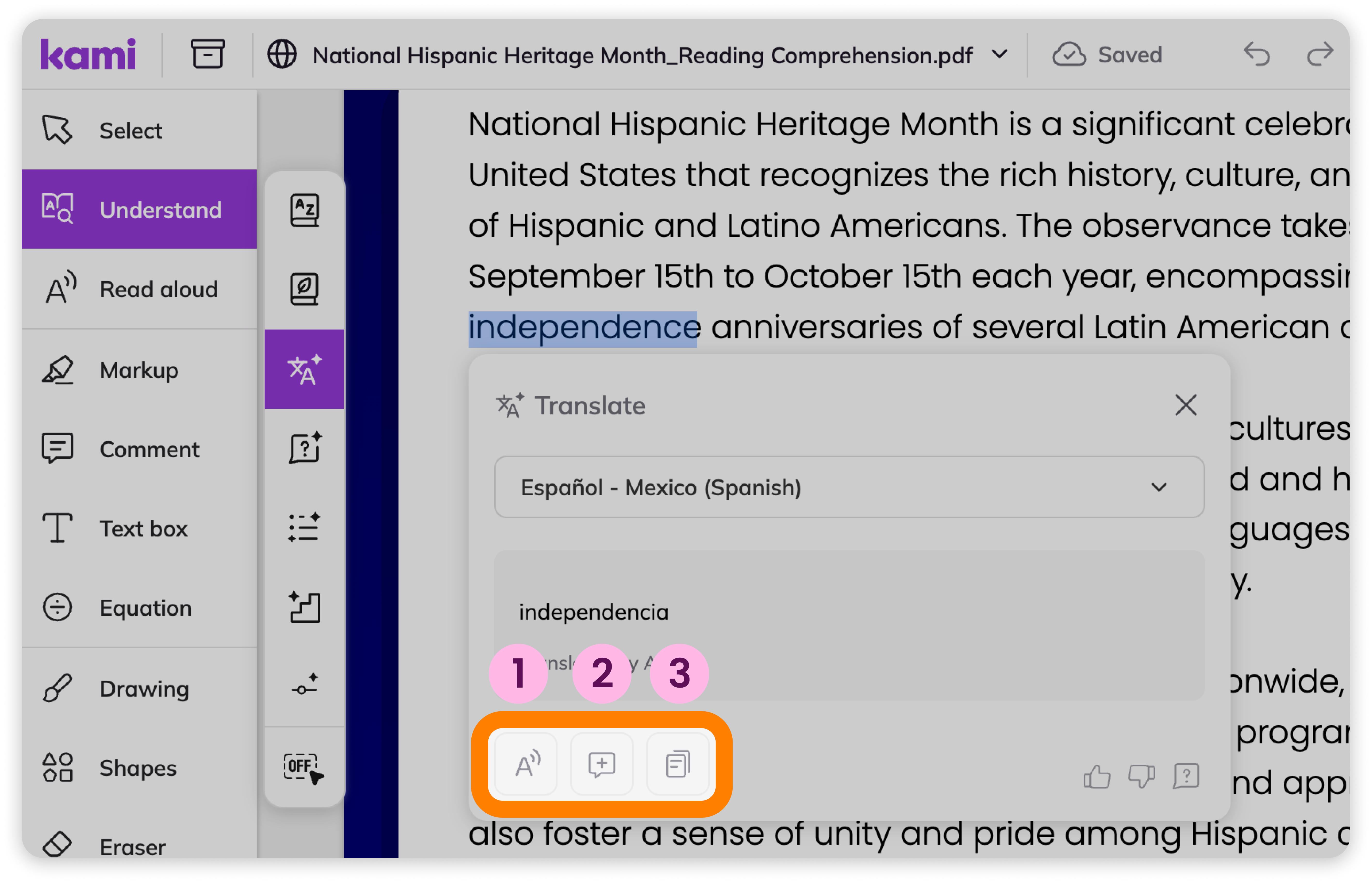Other Translate tool options