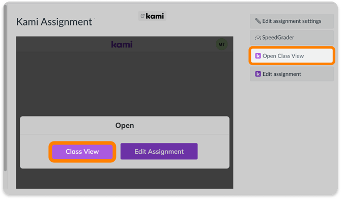 Open Class View button in LMS