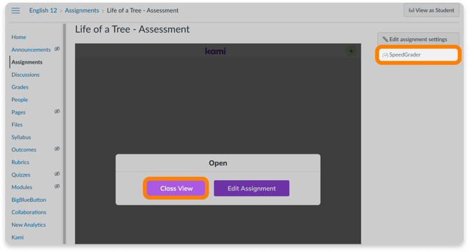 ClassView and SpeedGrader buttons