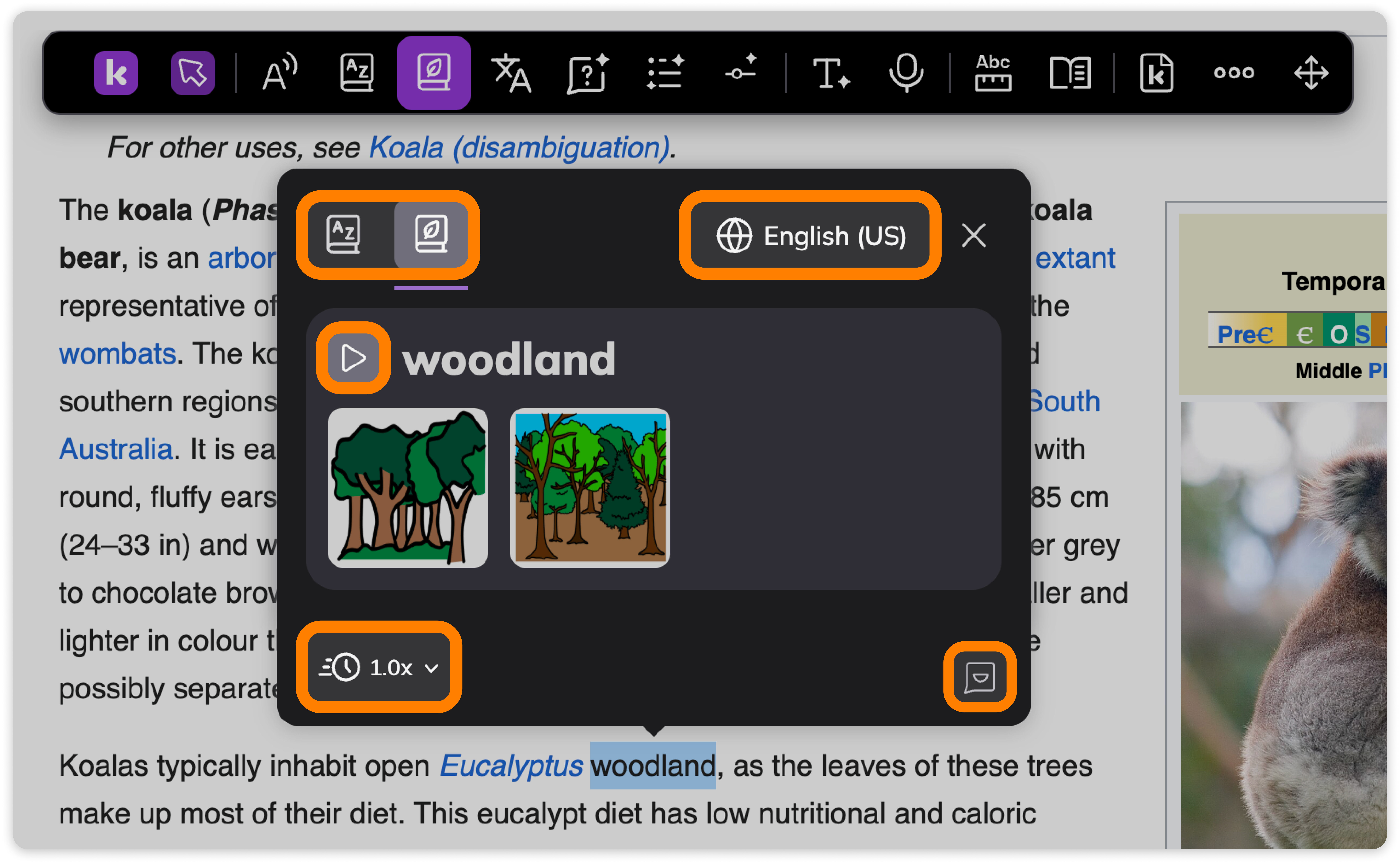 Picture Dictionary options