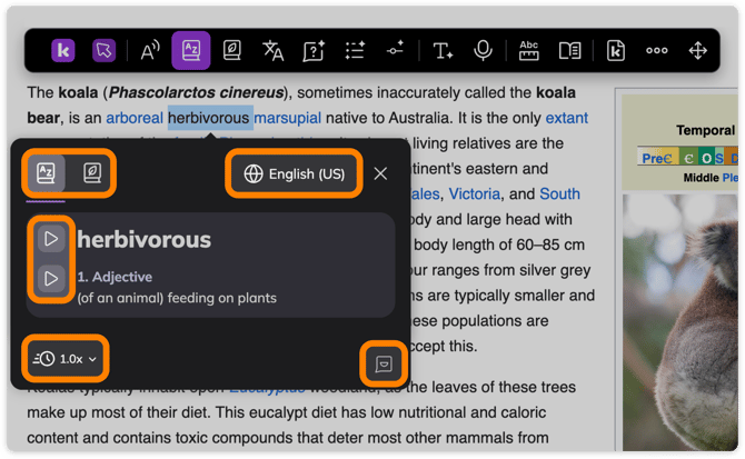 Dictionary settings modal
