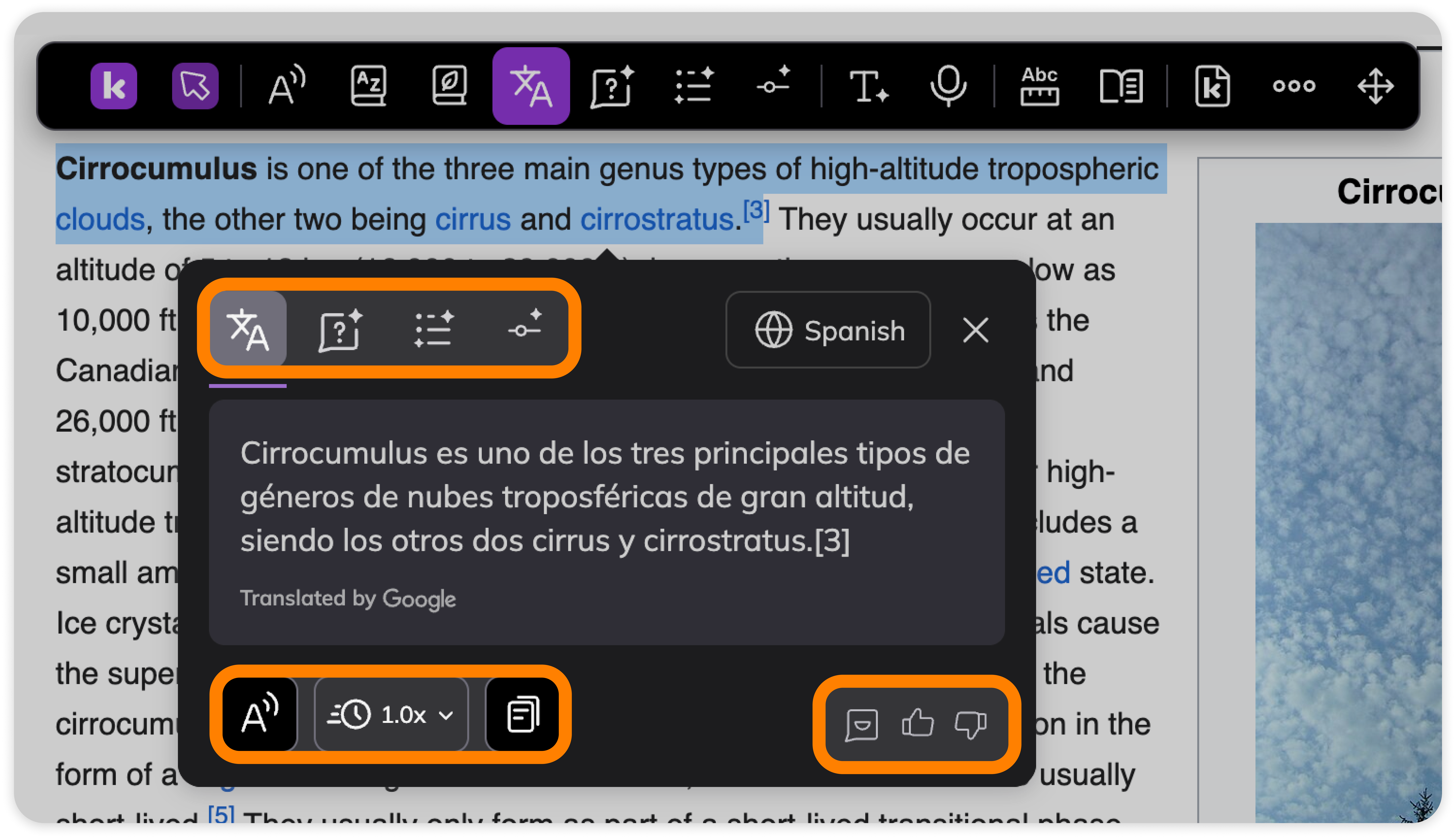 Translate modal options