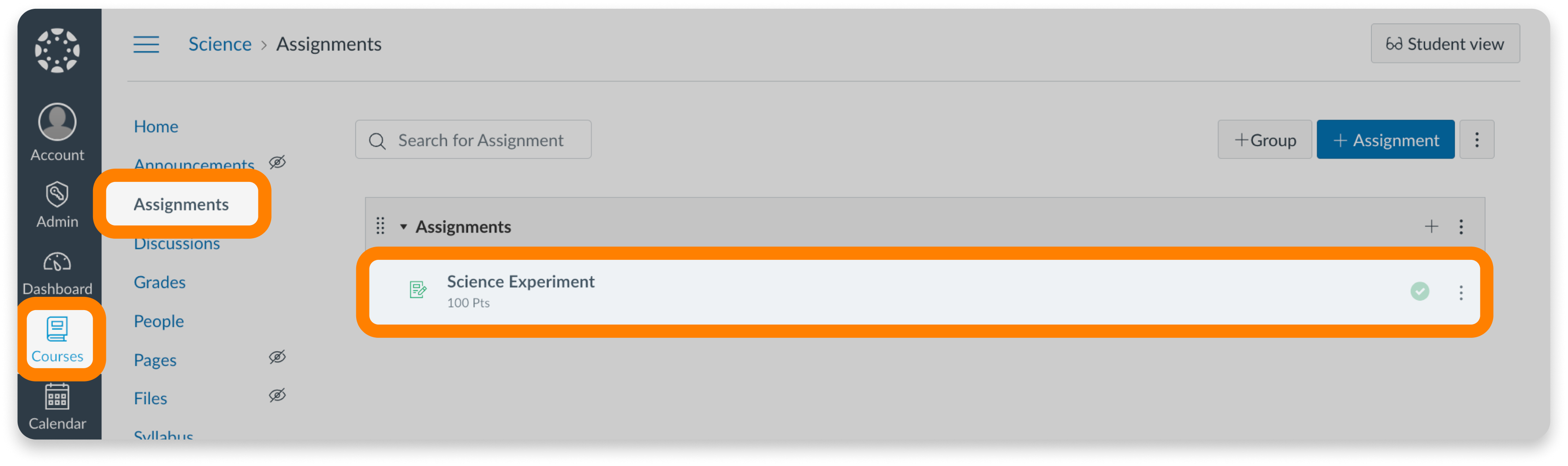 Course assignments in Canvas